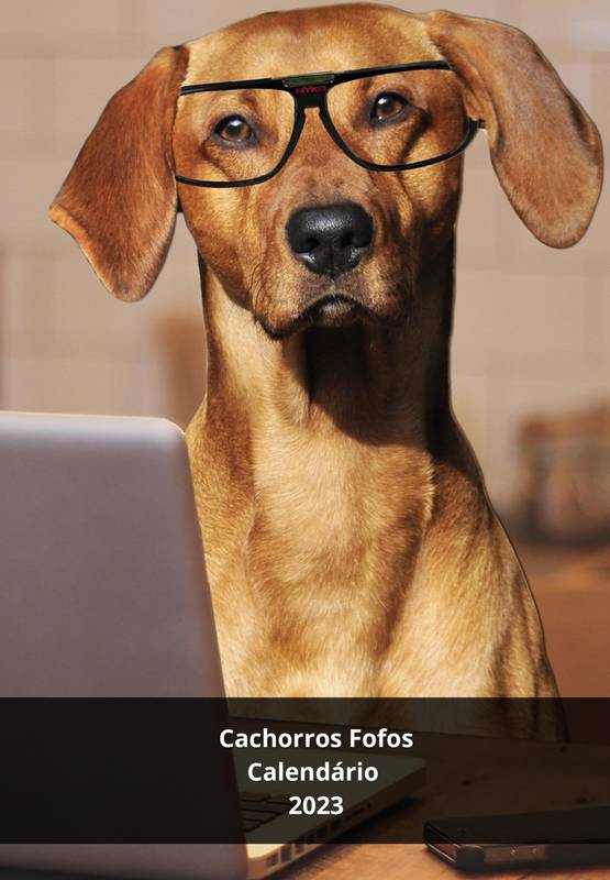 Cachorros fofinhos